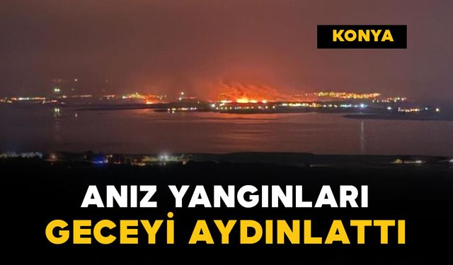 Geceyi aydınlatan yangınlar korkuttu