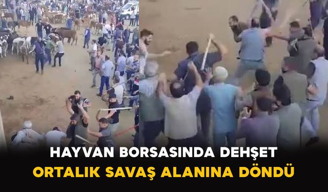 Hayvan Borsasında Dehşet: Ortalık Savaş Alanına Döndü