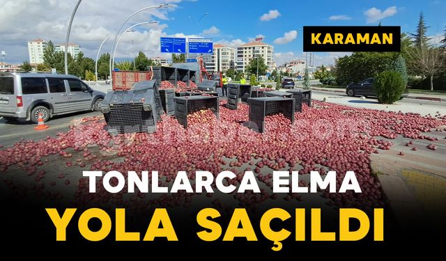 Karaman'da elma yüklü kamyonetin kasasındaki tonlarca elma yola saçıldı