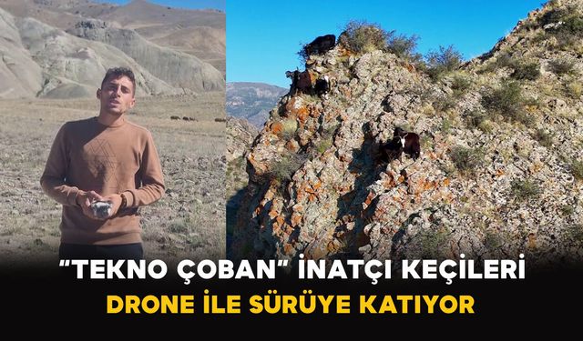 “Tekno Çoban” İnatçı Keçileri Drone ile Sürüye Katıyor