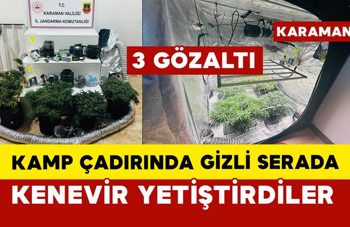 Kamp çadırında gizli serada kenevir yetiştirdiler: 3 gözaltı