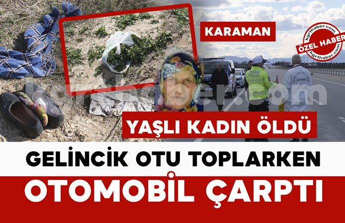 Gelincik otu toplarken yola çıkan yaşlı kadına otomobil çarptı: 1 ölü