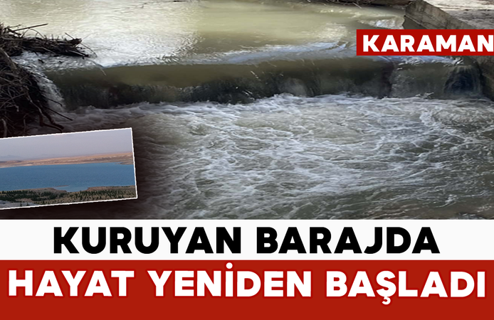 Kuruyan Barajda Hayat Yeniden Başladı