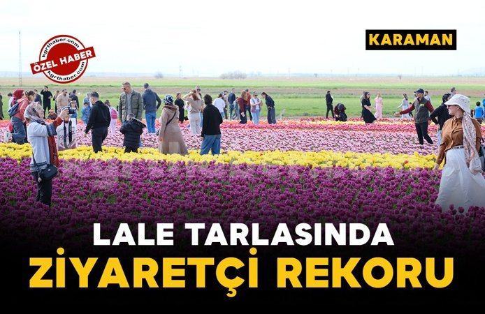 Türkiye'nin en büyük lale tarlasında ziyaretçi rekoru