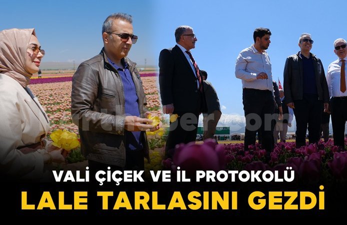 Vali Çiçek ve il protokolü lale tarlasını gezdi