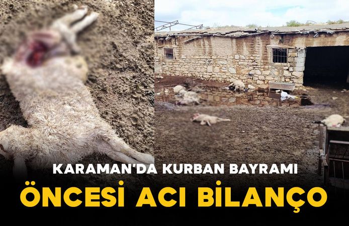 Karaman'da Kurban Bayramı Öncesi Acı Bilanço