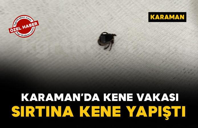 Piknik sonrası sırtına kene yapışan şahıs hastanede sağlığına kavuştu