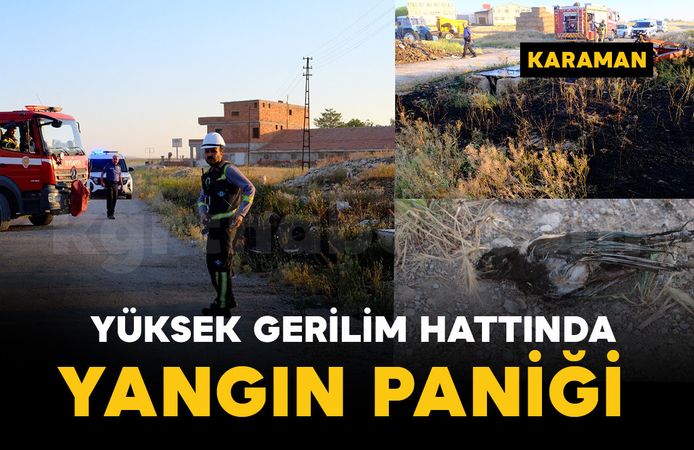 Saksağan kuşu yangına neden oldu