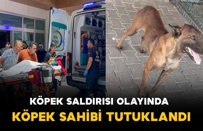 Karaman'da çocuğun köpeğin saldırısına uğradığı olaya ilişkin tutuklama