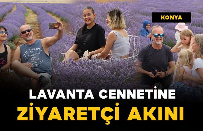 Yoldan geçenler mor lavanta tarlasını görünce durmadan edemiyor