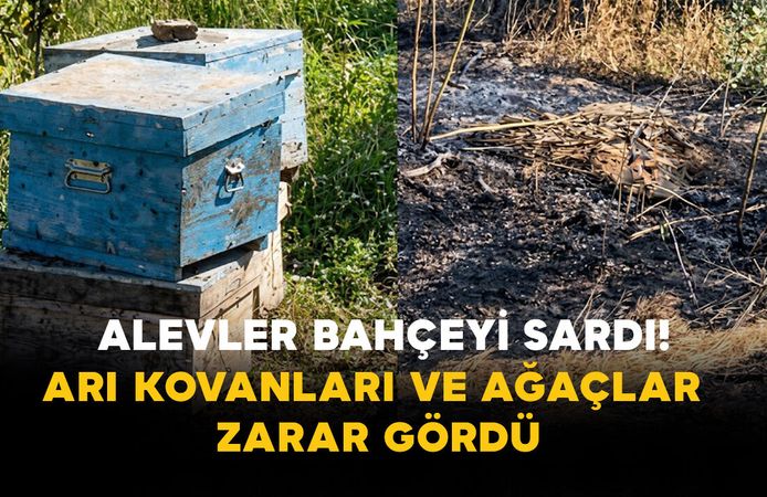 Karaman’da Alevler Bahçeyi Sardı! Arı Kovanları ve Ağaçlar Zarar Gördü