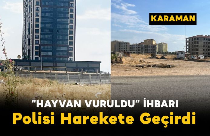 Karaman'da "Hayvan Vuruldu" İhbarı Polisi Harekete Geçirdi