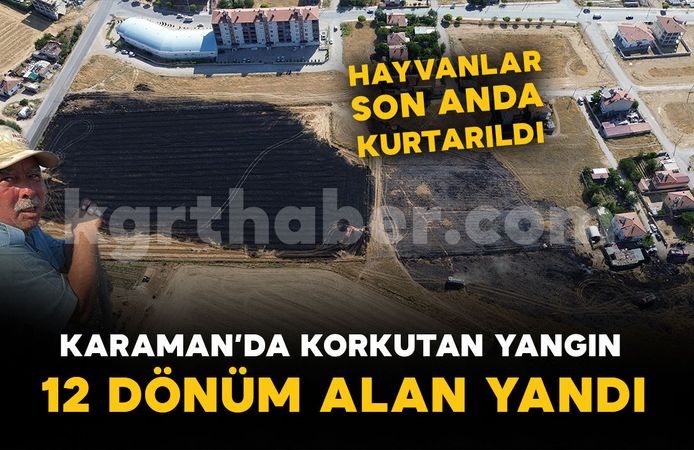 Otluk alanda çıkan yangın anıza sıçradı: 12 dönüm alan yandı