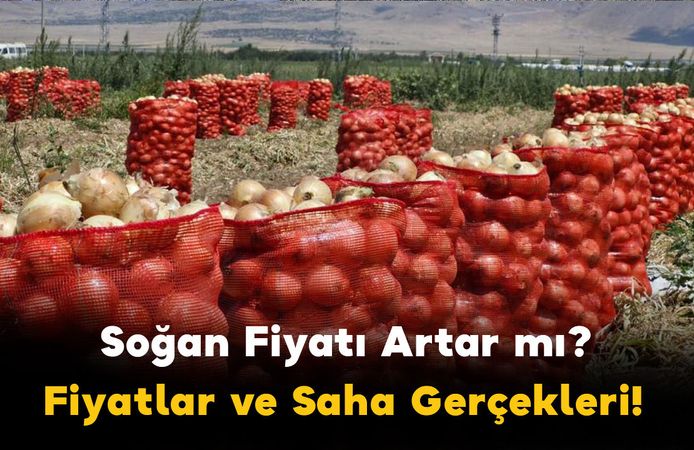 Soğan Fiyatı Artar mı, Üretici Zarar mı Ediyor? Fiyatlar ve Saha Gerçekleri!