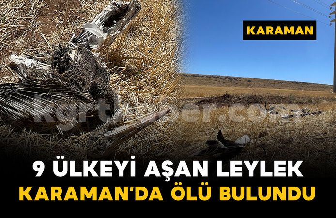 İsveç Prensesi Victoria’nın adını verdiği leylek Karaman’da ölü bulundu