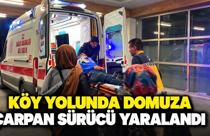 Karaman’da rahatsızlanan babasını ambulansa teslim eden sürücü domuza çarptı: 1 yaralı