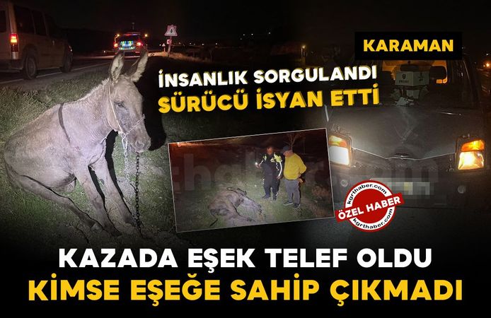 Karaman'da hafif ticari aracın çarptığı eşek telef oldu: "Eşeğe kimse sahip çıkmadı"