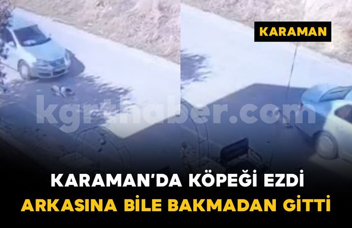 Karaman'da köpeğe çarpan araç arkasına bile bakmadan gitti