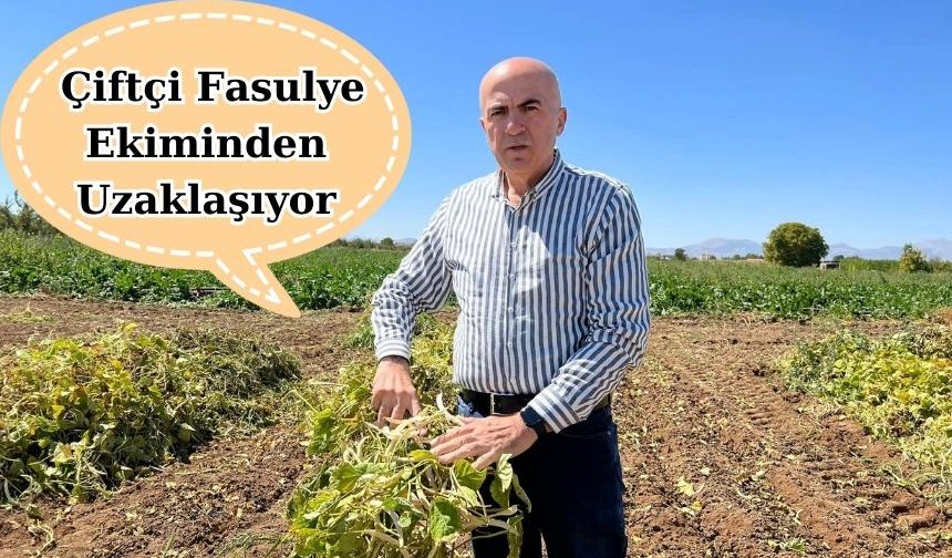Bayram: " Çiftçi Fasulye Ekiminden Uzaklaşıyor"
