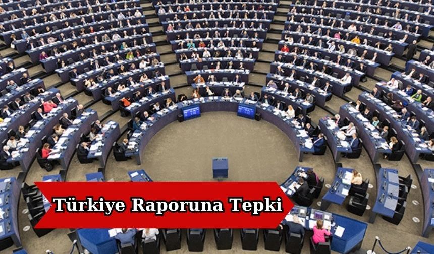 Türkiye Raporuna Tepki