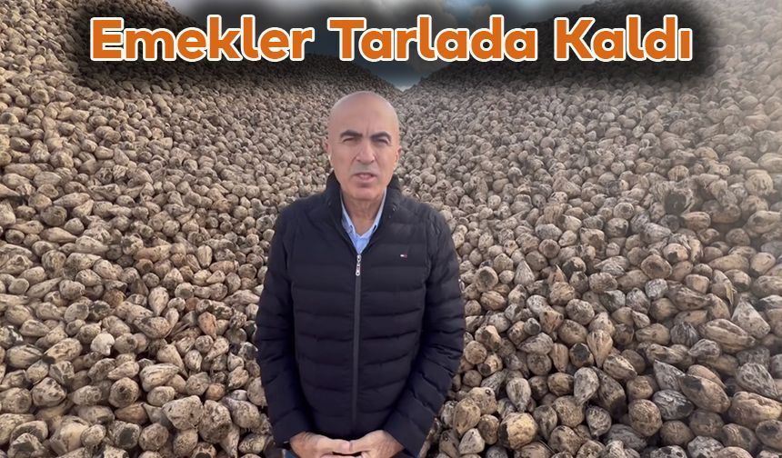 Emekler Tarlada Kaldı