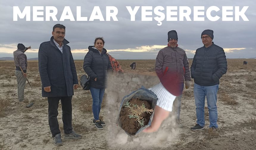 Meralar Yeşerecek