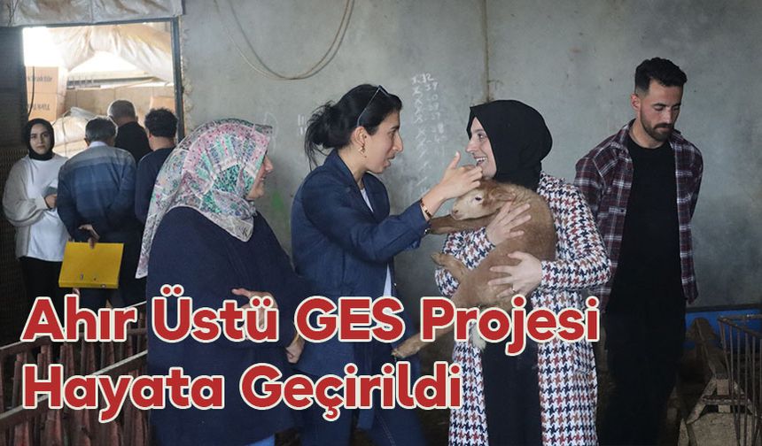 Ahır Üstü GES Projesi Hayata Geçirildi