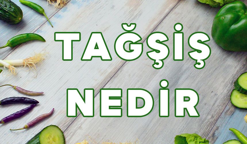 Tağşiş Nedir? Tağşiş Ne Demek? Hangi Sektörün Terimi Olarak Kullanılıyor?