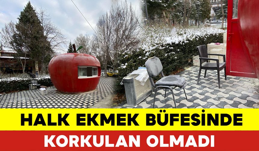 Korkulan Olmadı