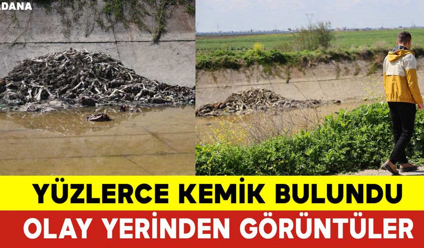 Yüzlerce Kemik Kanalda Bulundu