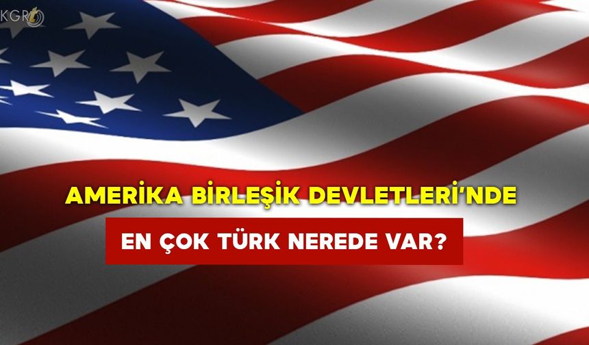 Amerika’da En Çok Türk Nerede Var?