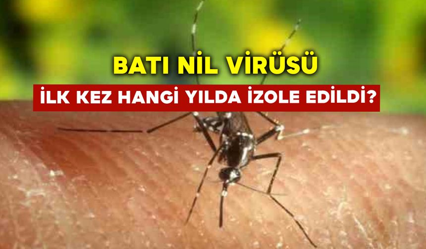 Batı Nil Ateşi Virüsü İlk Kez Hangi Yılda İzole Edildi?