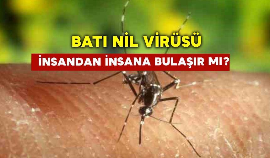 Batı Nil Virüsü İnsandan İnsana Bulaşır Mı?