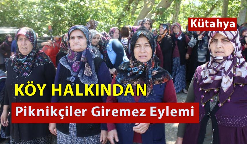 Piknikçiler ve Köy Halkını Karşı Karşıya Getiren Piknik