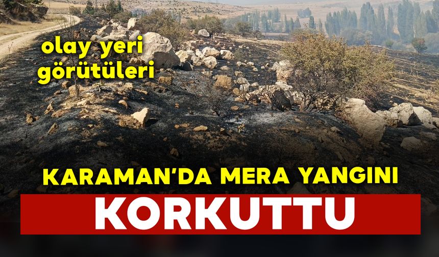 Karaman'da mera yangınından görüntüler