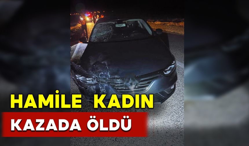 Kazada hamile kadın öldü