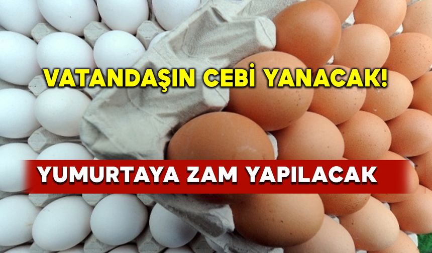 Vatandaşın cebi yanacak! Yumurtaya dev zam yapılacak