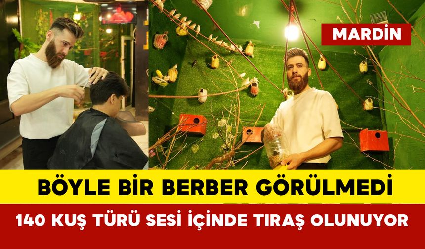 Böyle bir berber görülmedi: 140 kuş türü sesi içinde tıraş olunuyor