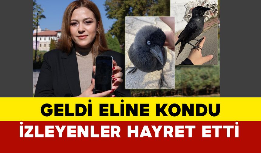 Eline geldi kondu, izleyenler hayret etti