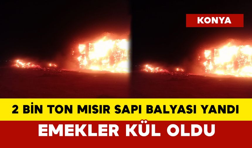 2 Bin Ton Mısır Sapı Balyası Yandı: Emekler Kül Oldu