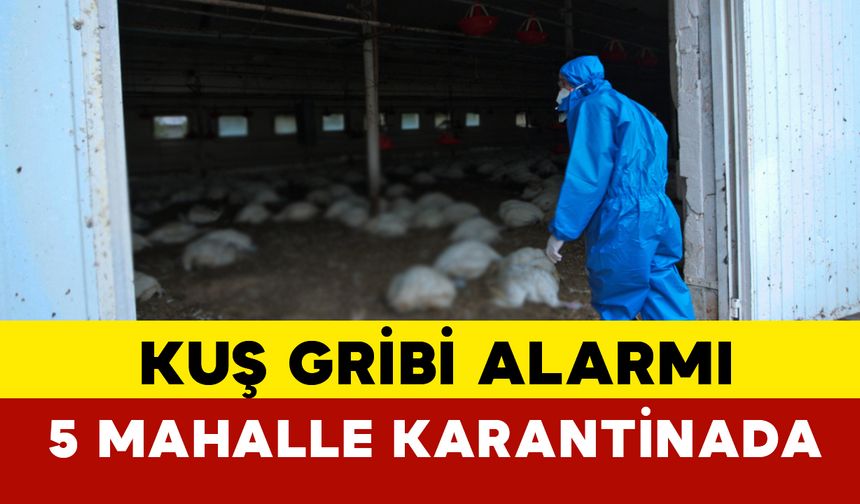 Eskişehir’de kuş gribi alarmı: 5 mahalle karantinada