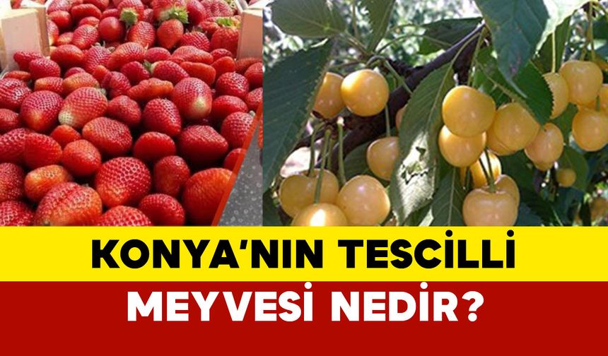 Konya'nın tescilli meyvesi nedir?