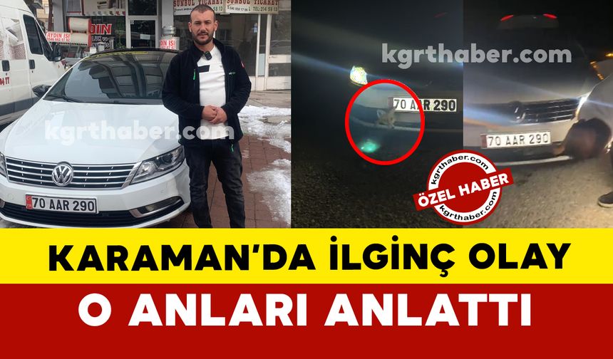 Karaman'da ilginç olay: otomobilin çarptığı tilki aracın önüne sıkıştı