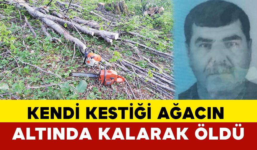 Kendi Kestiği Ağacın Altında Kaldı: Hayatını Kaybetti