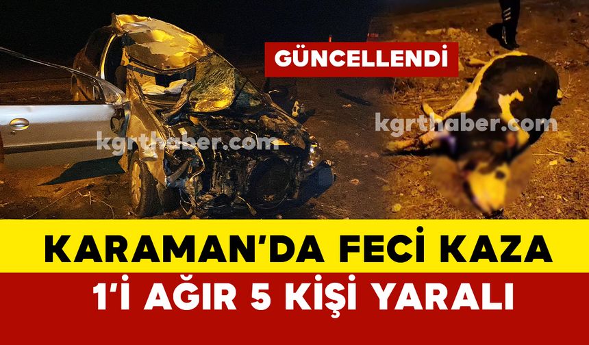 Yola aniden çıkan ineğe otomobil çarptı: 1’i ağır 5 yaralı