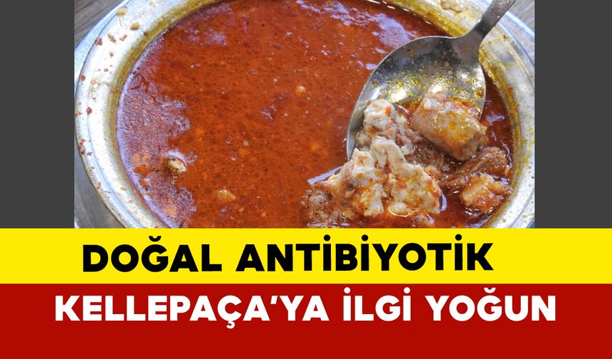 Gaziantep’te Kelle Paça Çorbasına Yoğun İlgi: Doğal Antibiyotikle Kışa Karşı Koruma