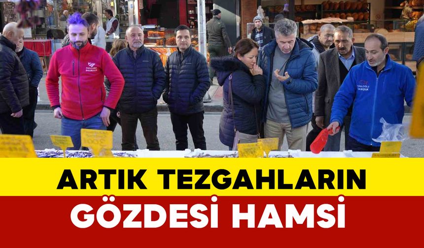 Karadeniz’in incisi hamsi, palamudun tacını geri aldı: Tezgahın gözdesi hamsi