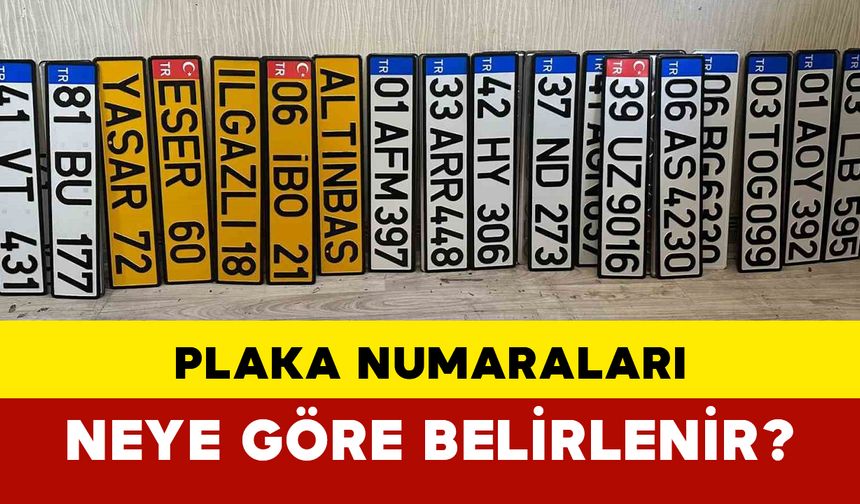 Plaka Numaraları Neye Göre Belirlenir?