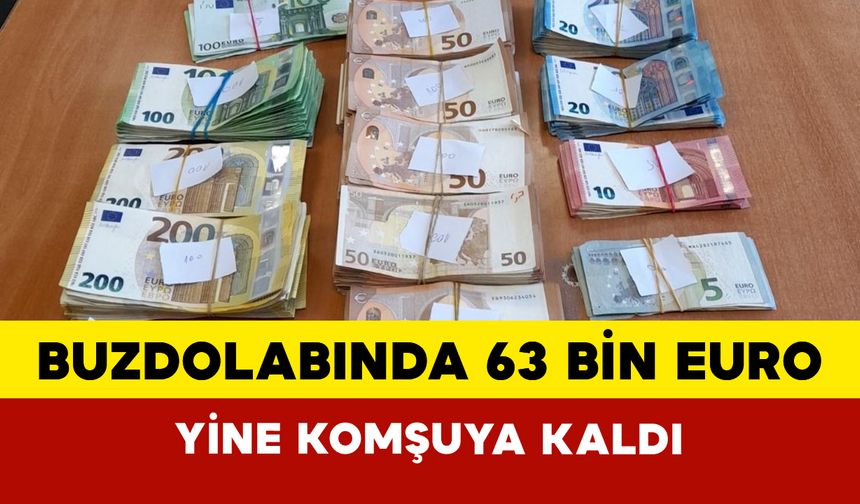 Buzdolabına sakladığı 62 bin 770 euro gümrükte yakalandı