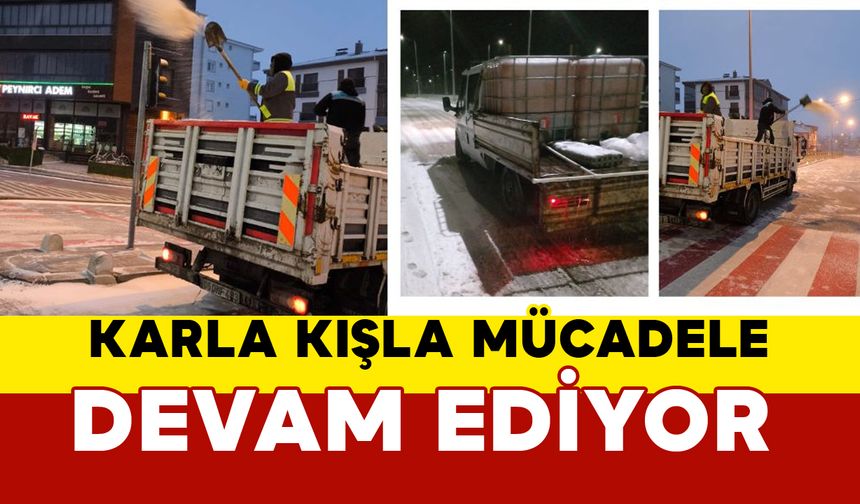 Karaman Belediyesi Karla Mücadele Çalışmalarını Sürdürüyor